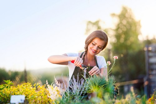 Gardeners Eltham team assessing a suburban garden