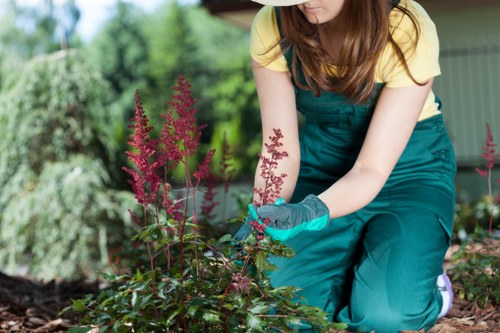 Detailed garden design plan with various plant species